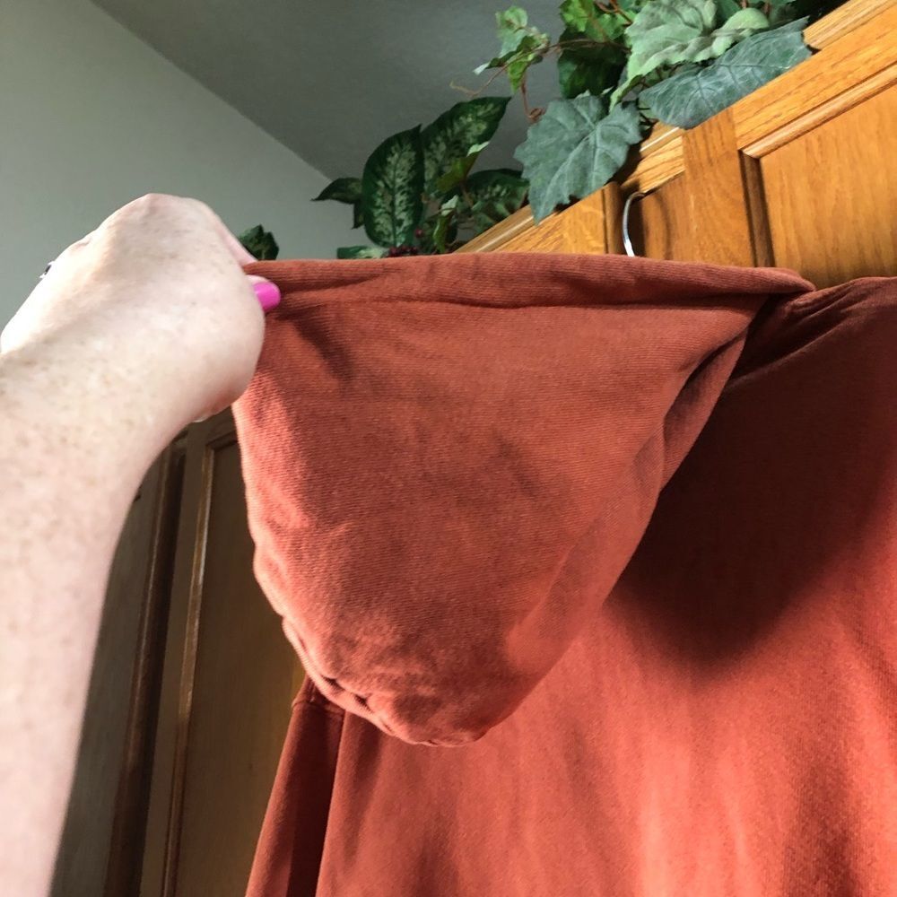 RE/DONE x Hanes Classic Hoodie Sweatshirt Oversized Orange Terracotta - S - Picture 8 of 13